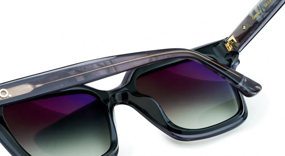 Etnia Barcelona SIMBO 22 SUN Sunglasses - view 7